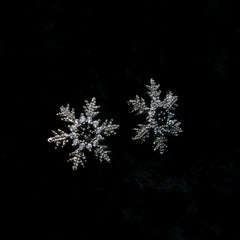 Alkyara Winter Bloom Pendant Set